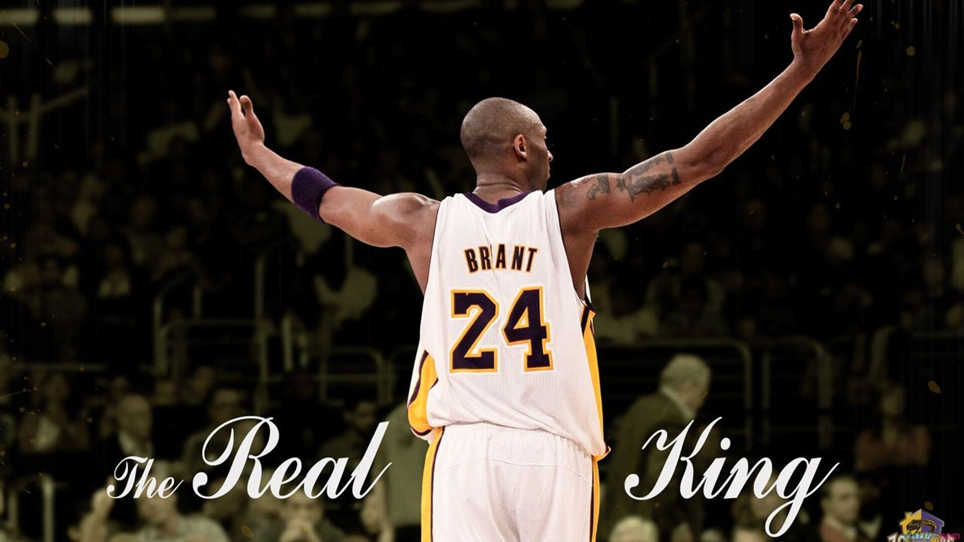 开云体育官网-福克斯压力下完成爆发，马刺强势晋级热火，当冷血成为最滚烫的武器